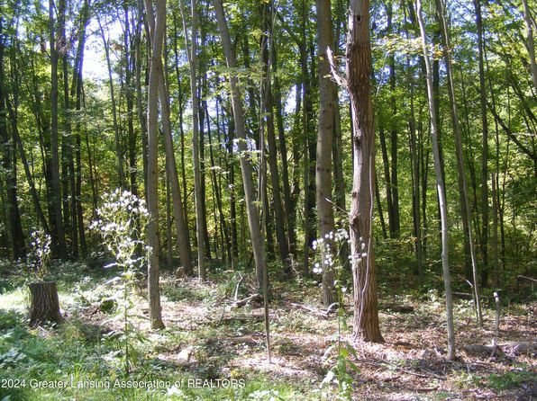 11511 Edgewood Rd, Bellevue, MI 49021
