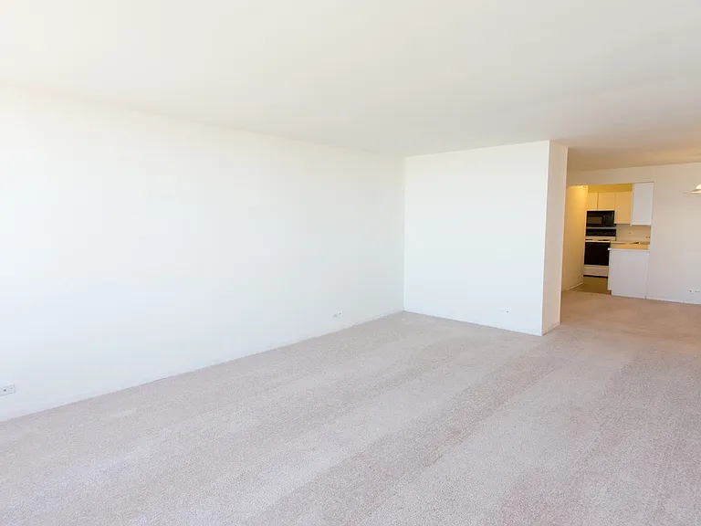 Dining/Living room