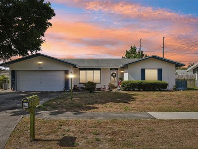 1727 Ashton Abbey Rd, Clearwater, FL, 33755