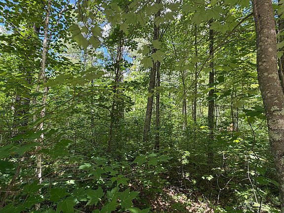 5th image of LOT 12 Flintrock Dr