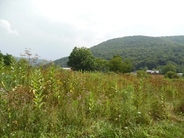 180 Fassifern Fields Rd, Slatyfork, WV 26291