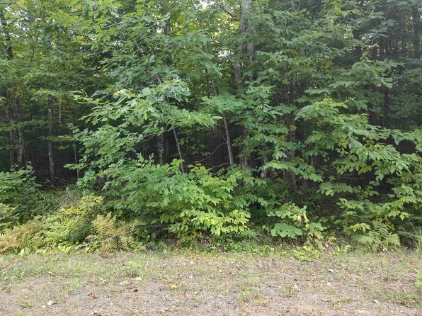 21836 Petticoat Lake Rd, Michigamme, MI 49861