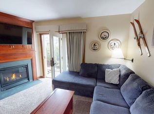 137 Allegheny Springs Ln, Snowshoe, WV 26209