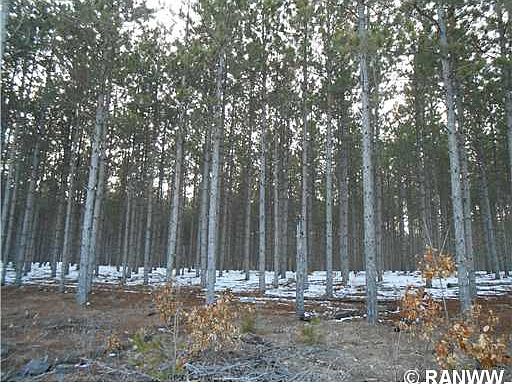 3rd image of Lot 4 Pine Road