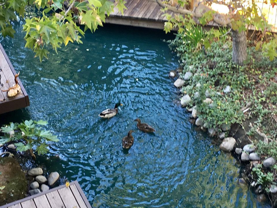 View from deck