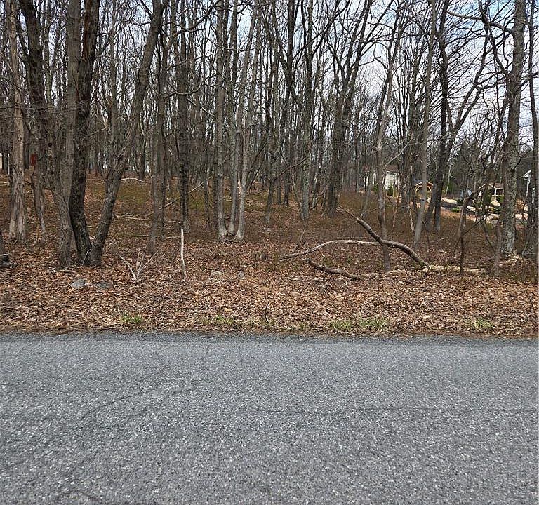 2nd image of 75 Cascade