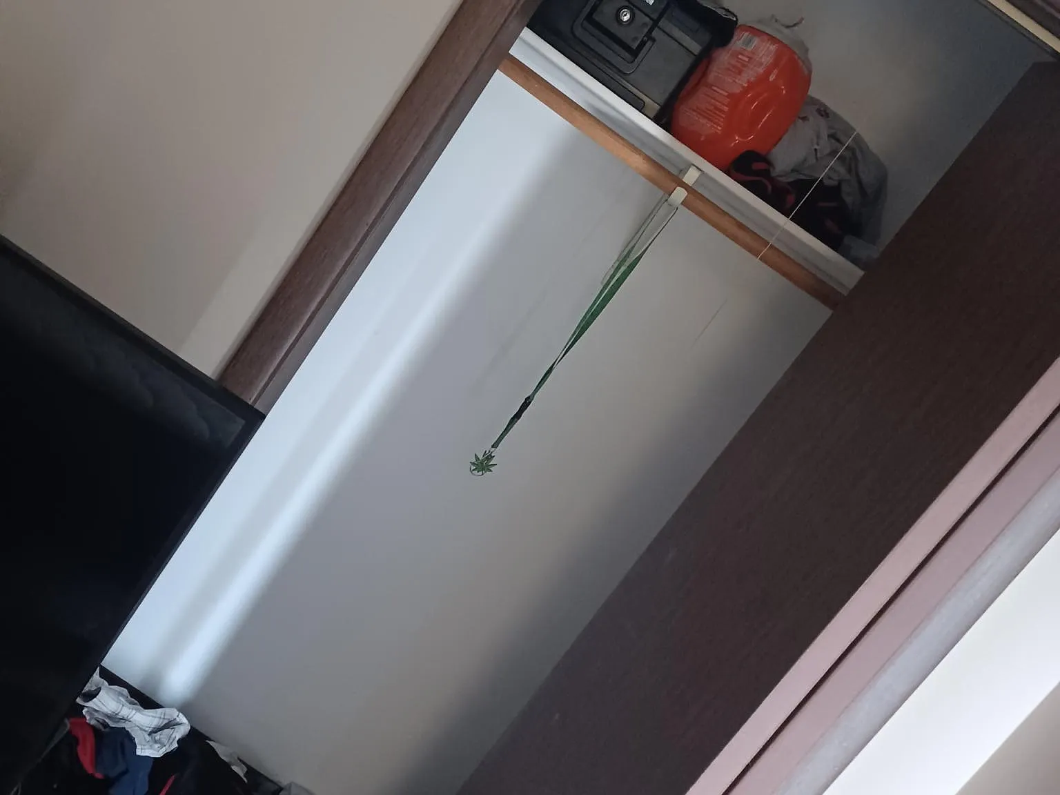 2 bed, 940 sqft, $850 — Photo 4
