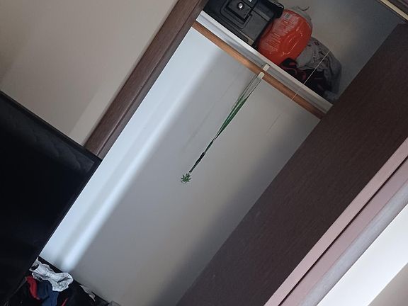4th image of 311 S Hawthorne St #1A