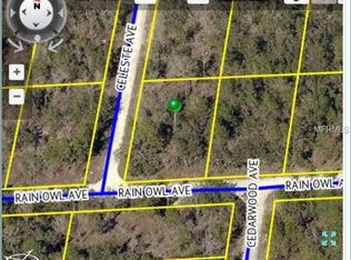 13301 Rain Owl Ave, Weeki Wachee, FL 34614