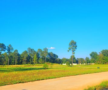 Southern Pnes Lot 25, Hallsville, TX, 75650