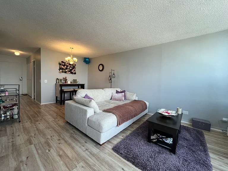 5320 N Sheridan Rd #1210 — Photo 5