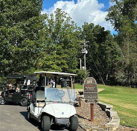3rd image of 0 Little Hendricks Mountain Cir
