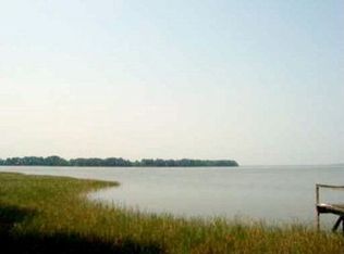 31115 Scrub Ln, Tavares, FL 32778