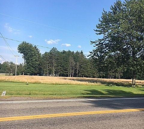 Cleared w/ a few mature tree