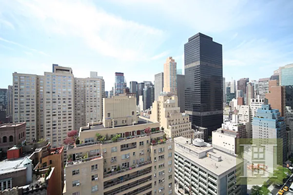 Sold by Halstead Real Estate | media 3