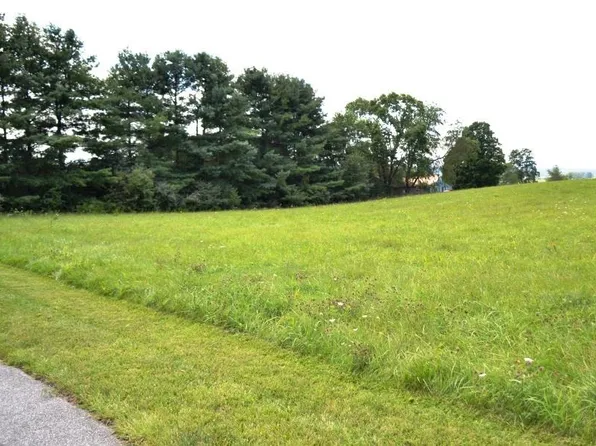 LOT 3 Nat Back Rd, Wytheville, VA 24382