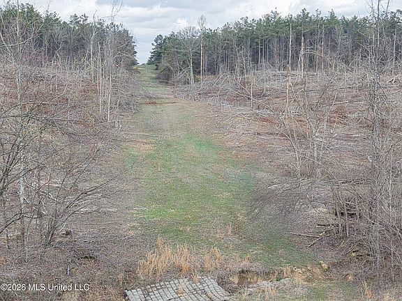 3rd image of 1 Lane Rd