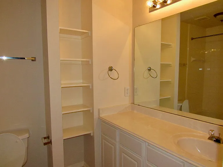 11126 Cactus Point Ct — Photo 20