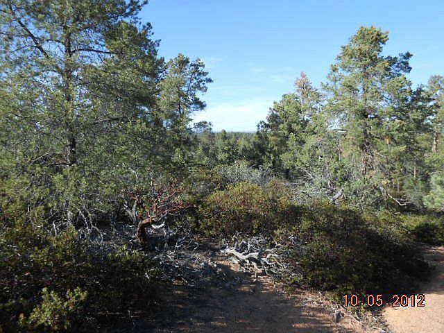 2nd image of 1808 E Cliff Rose Dr