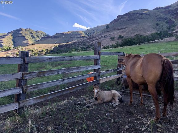 4th image of 73720 Indian Creek Rd