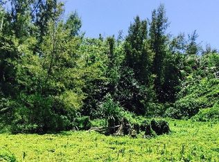 Government Beach Rd LOT 1956, Pahoa, HI 96778