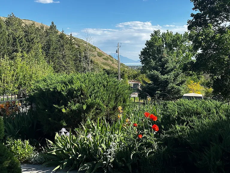 1873 N Fort Canyon Rd — Photo 22