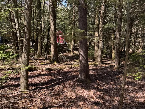 211 Alter Ave, Pocono Summit, PA 18346