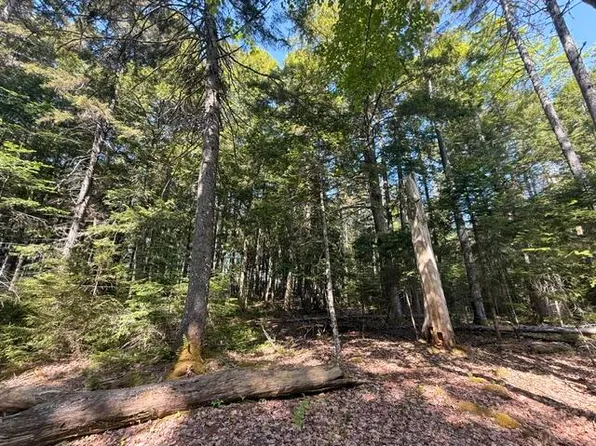 Lot #17 Sunset Cove Way, Orland, ME 04472