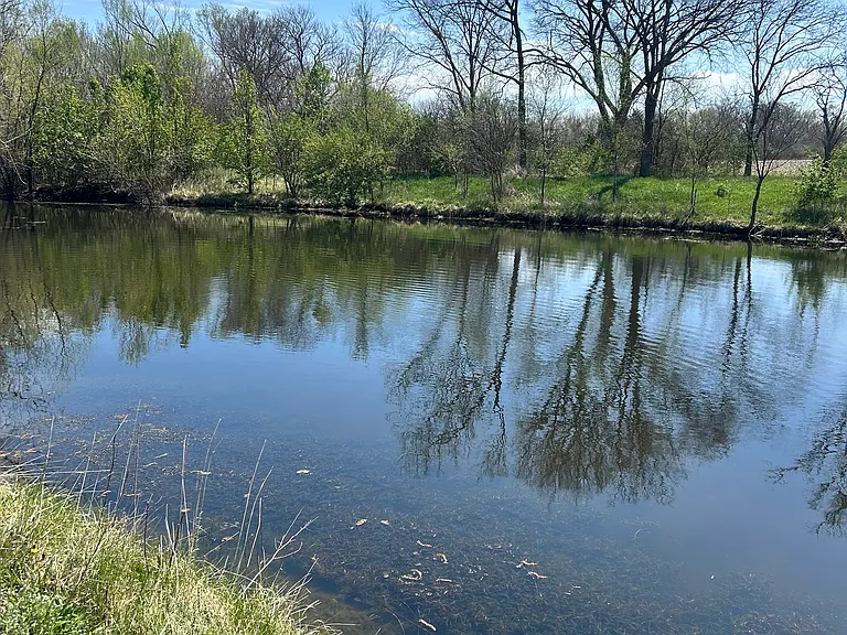 Attached pond!