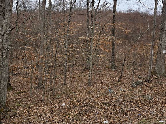 5th image of 0 Stanaford Rd