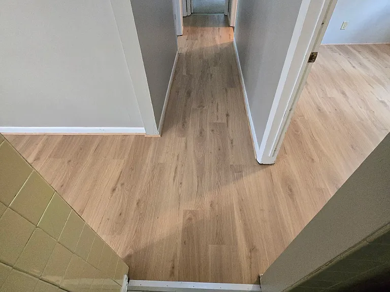 521 Elizabeth St — Photo 3