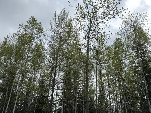 1564 Madeline St, North Pole, AK 99705