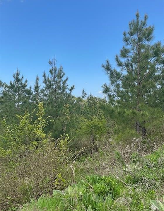 1st image of 187 Sliding Hill Trail