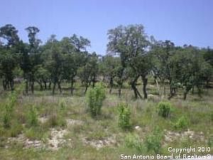 2nd image of 191 Sawgrass