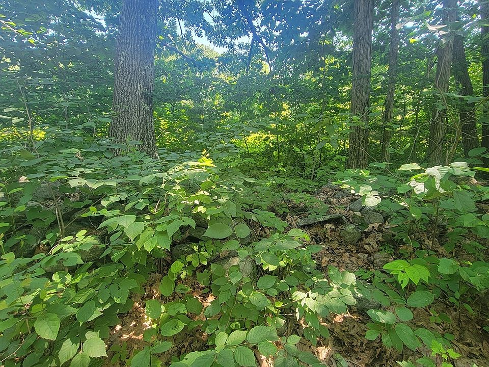 2nd image of 0 Grogan Rd