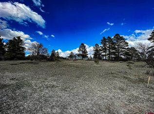 47 High Dr, Pagosa Springs, CO 81147