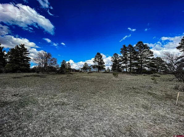 47 High Drive, Pagosa Springs, CO 81147