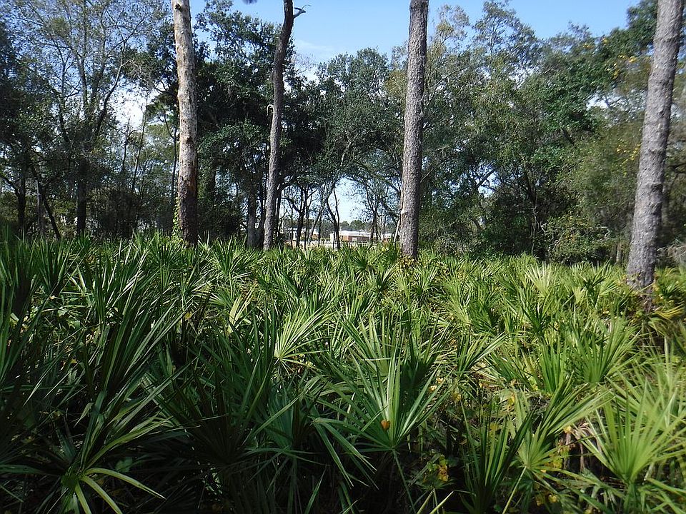 SITE 