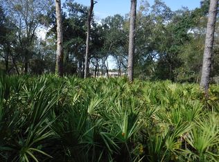7819 N Coolidge Ave, Tampa, FL 33614