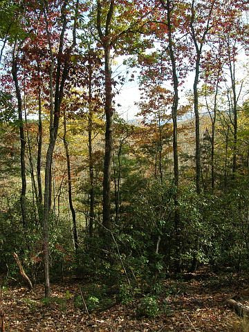 1st image of LOT 24 Sunkota Trl