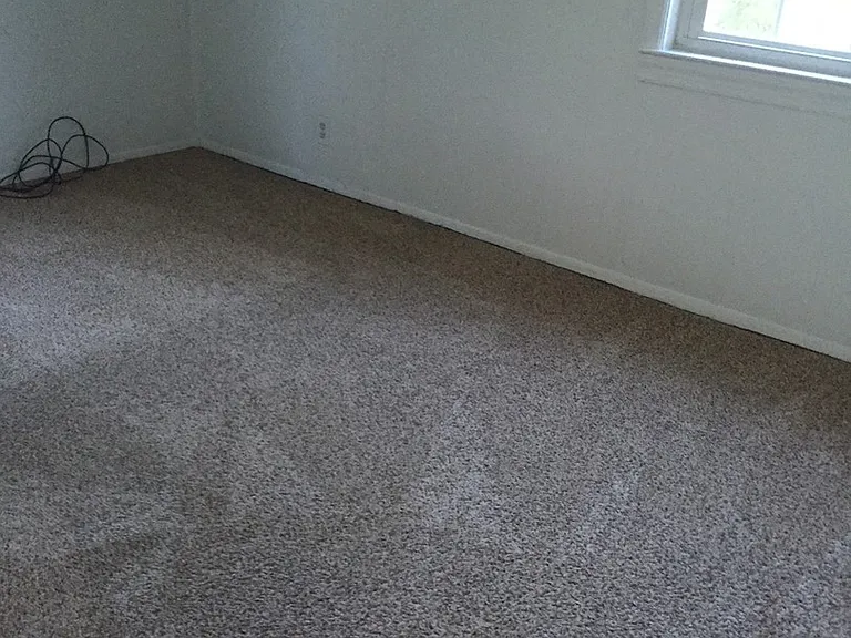 275 Filbert Ave — Photo 7