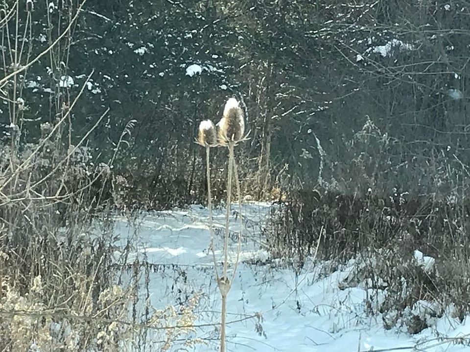 2nd image of 12440 Pioneer Rd