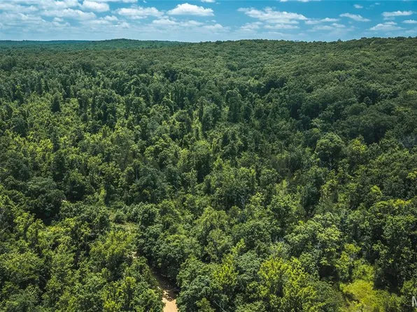0 Czar Tower Rd, Steelville, MO 65565