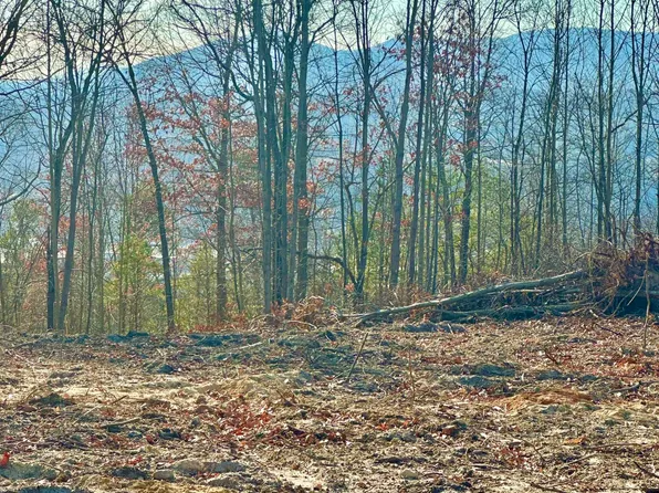 0 Dry Run Rd #21-22-23, Covington, VA 24426