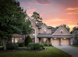 14 Mammoth Springs Ct, Spring, TX 77382