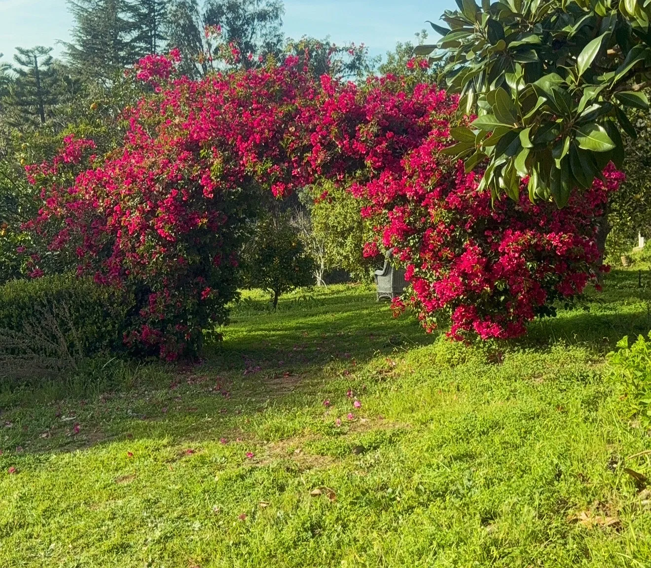 Rosa Way, Fallbrook — Photo 3