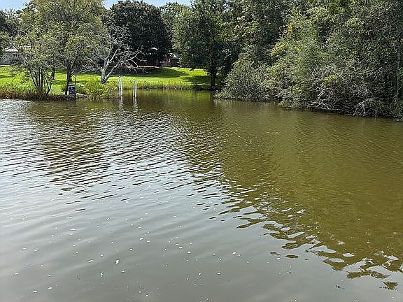 4th image of 1700 Seacliffe Dr