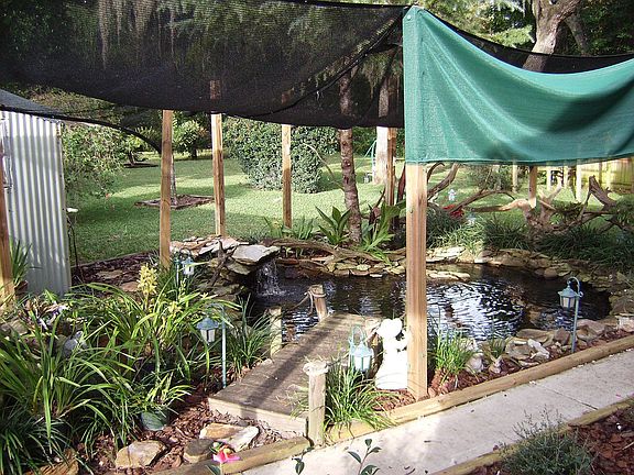 Koi Pond/Waterfall