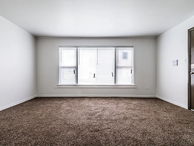 8851-8853 S Cottage Grove Ave Chicago, IL 60619 — Photo 11