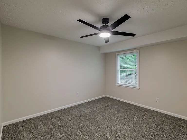315 Ansley Dr — Photo 19